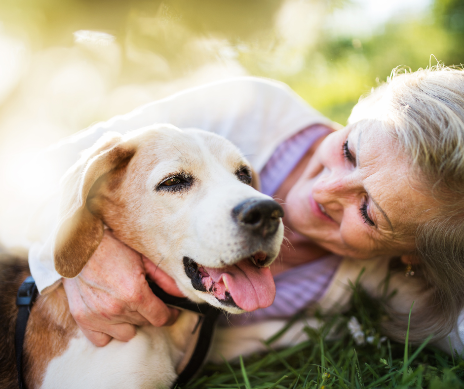 The Therapeutic Benefits of Pet Therapy for Seniors with Dementia